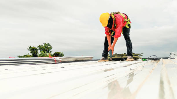Best Asphalt Shingles Roofing  in Three Rivers, OR