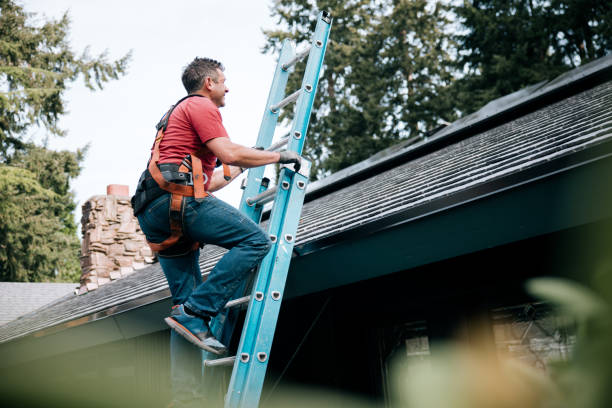 Best Skylight Installation and Repair  in Three Rivers, OR