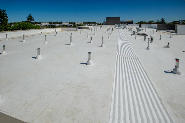 Best Asphalt Shingle Roofing  in Three Rivers, OR